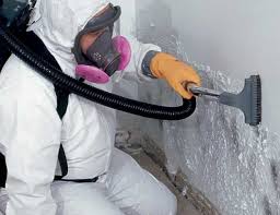 Best Emergency Mold Remediation  in Redstone Arsen, AL